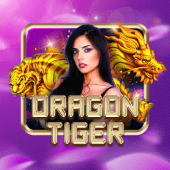 Dragon Tiger black scatter live casino game